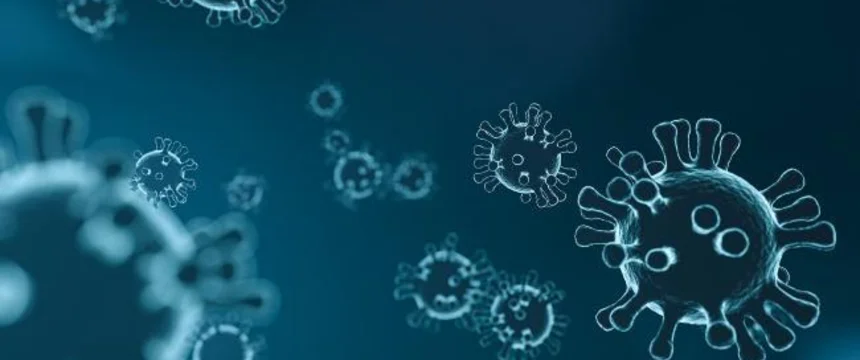 virus-4835301_1920_0_0.jpg