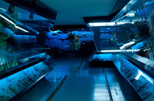 museo_del_mar2.jpg